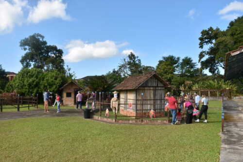 Arraiá da Kindergarten